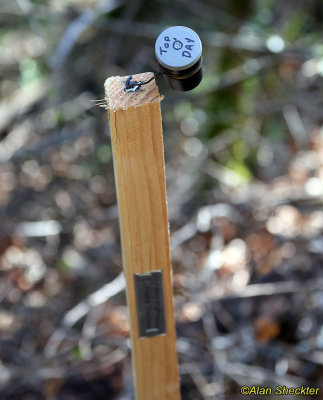 Mining claim marker, with map in little film cannister