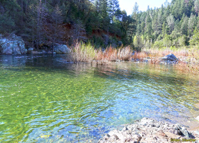 Still pool at the headwaters of Miocene Canal, along the  West Branch Feather River