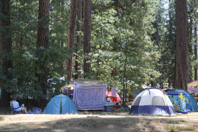 WorldFest camping