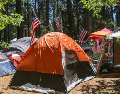 WorldFest camping