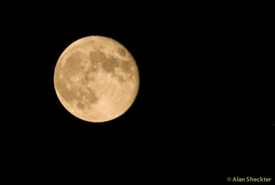 Harvest moon on the way home, near Paradise, CA