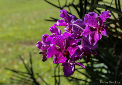 g9/45/850245/3/158795542.l5jCMk4Y.jpg
