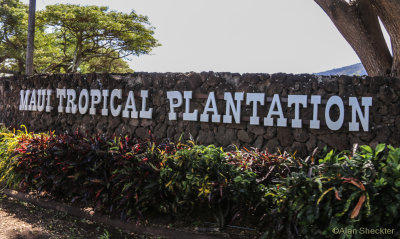 Maui Tropical Plantation, Wailuku, HI, January 10, 2015
