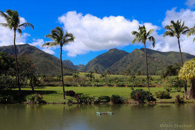 Maui & Kauai, Hawaii - January 2015