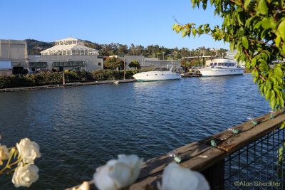 San Rafael Creek behind Terrapin Crossroads