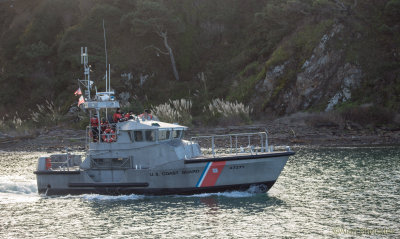 g9/45/850245/3/161944345.MQ6eOK1k.jpg