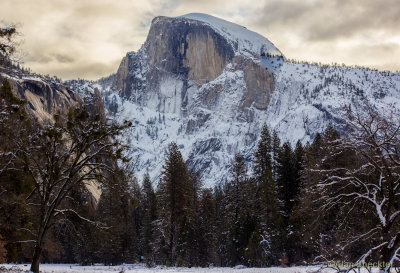Yosemite National Park, California, January 8-11, 2016