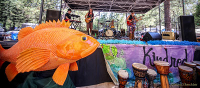 Family camp stage -Pamela Parker's Fantastic Machine