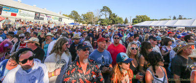 Main stage crowd