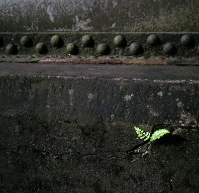 Landschaftspark Nord