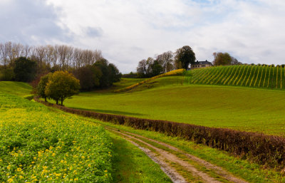 Cannerweg Limburg