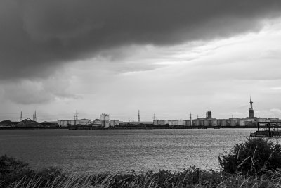 DSC_0526.jpg