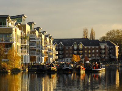 DSC_0340.jpg