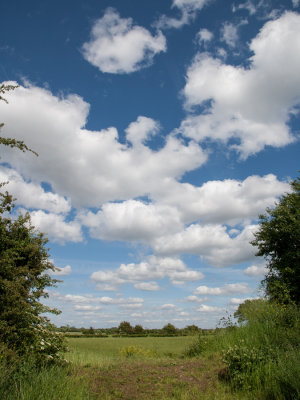 XB8J1136.jpg