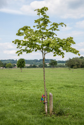 XB8J1384.jpg