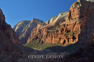 View from Weeping Rock