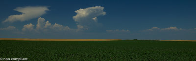 DSC02587-2.jpg