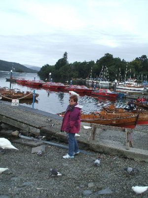 Very friendly & hungry birds on my head