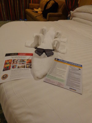 Towel alligator from our cabin boy