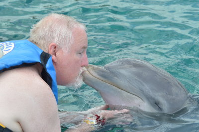 Kisses from the dolphin