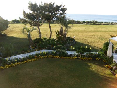 View from our room, wonderful plantings and the ocean