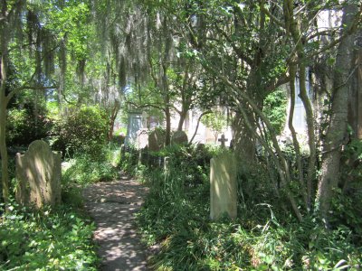 GREAT cemetery with overgrown perennials