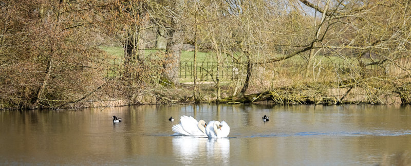 Today at the Vyne