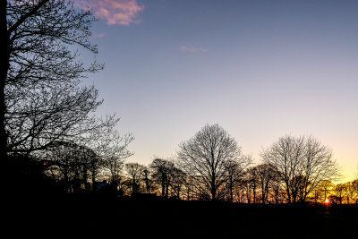 Devon Sunset