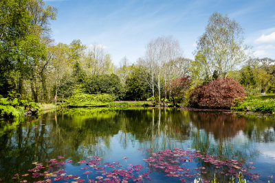 RHS Rosemoor North Devon