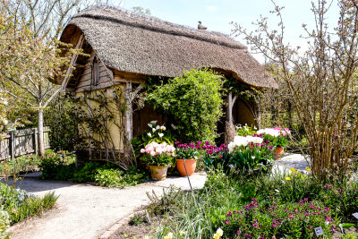 RHS Rosemoor in North Devon