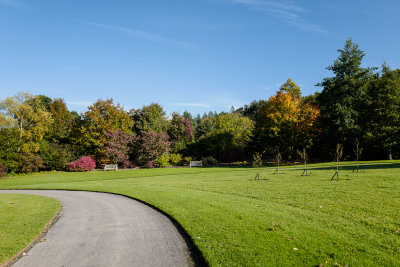 Autumn Morning