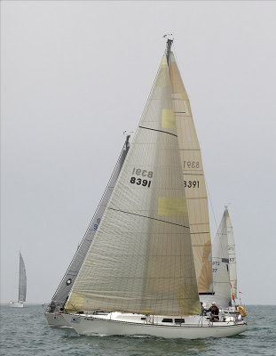 _MG_7294.JPG