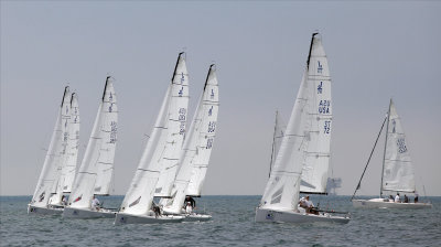 _MG_7446.JPG