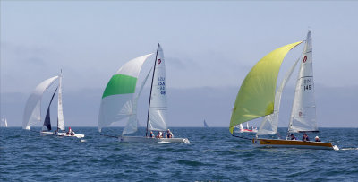 _MG_7602.JPG