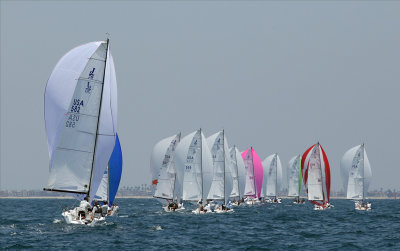 _MG_9464.JPG