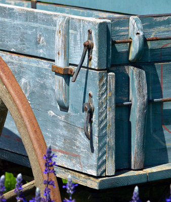 Old wagon, Abma's Farm, NJ