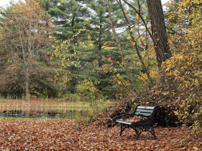 Fall at The Gardens, a natural preserve 