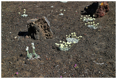 Craters of the Moon