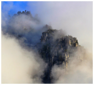 Enshrouded Yosemite