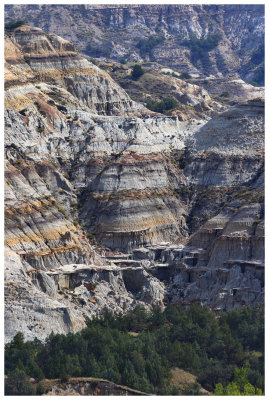 Teddy Roosevelt National Park