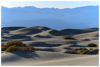 Mesquite Dunes