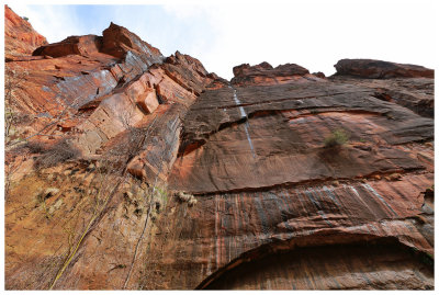 Zion NP