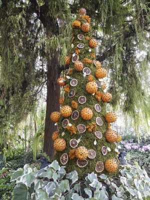 allan_gardens_gm1