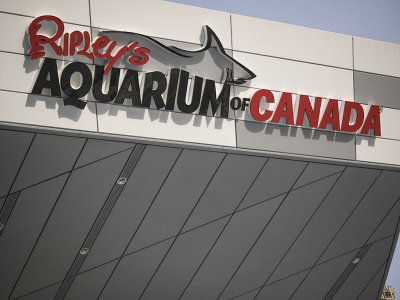ripleys_aquarium_toronto