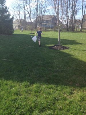 joey tore it up looking for eggs