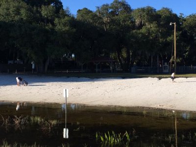 more of the park