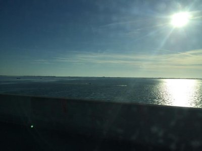 tampa water