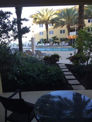 our view from the patio