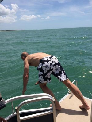 dives in