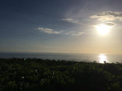 paradise
